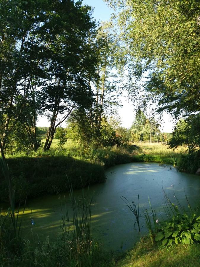 Siedlisko Nasza Chata Popiolki Zewnętrze zdjęcie