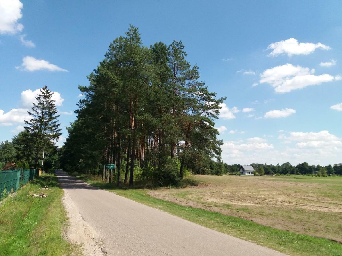 Siedlisko Nasza Chata Popiolki Zewnętrze zdjęcie