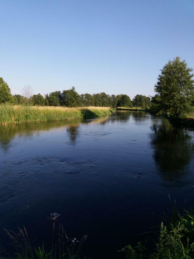Siedlisko Nasza Chata Popiolki Zewnętrze zdjęcie