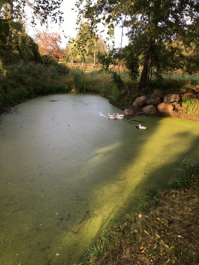 Siedlisko Nasza Chata Popiolki Zewnętrze zdjęcie